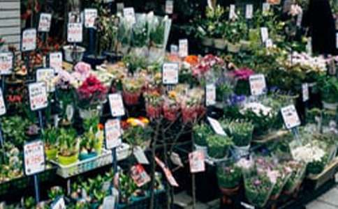 大學生開花店創業計劃書