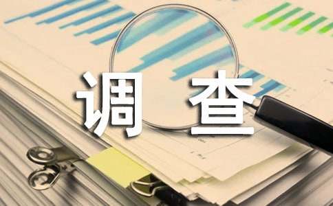學生社會實踐調查報告