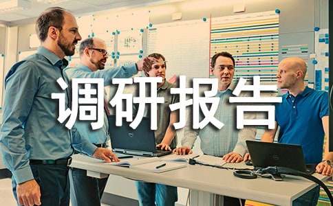 社會實踐調研報告格式