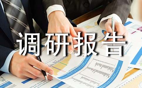 中國夢調研報告