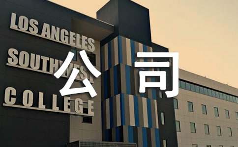 公司年度總結報告