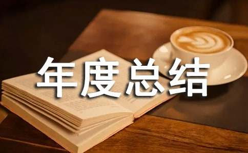 個人年度總結與計劃
