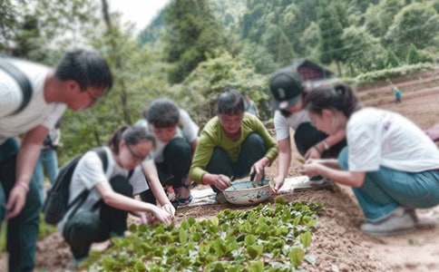 大學生三下鄉社會實踐報告