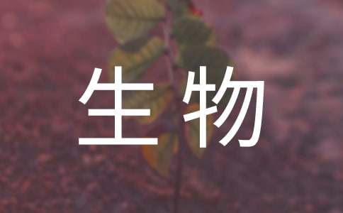 生物教學計劃