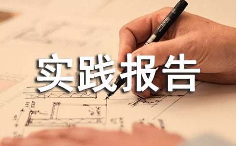 實踐報告格式范文