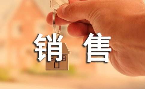 銷售員年終工作總結(jié)及明年工作計劃