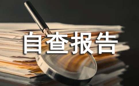 工作作風個人自查報告
