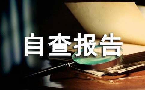 督導評估工作自查報告